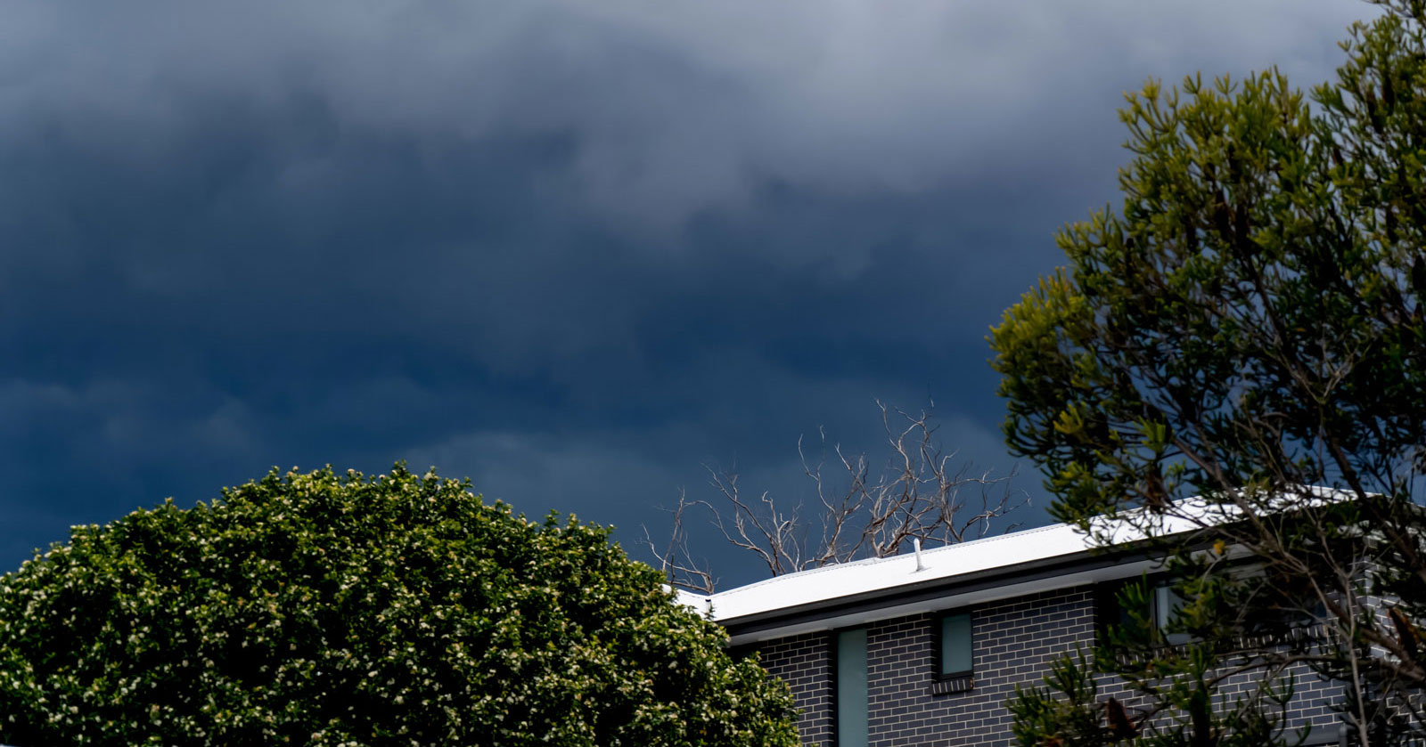 How to Check Your Roof for Leaks Before a Storm Hits IMAGE